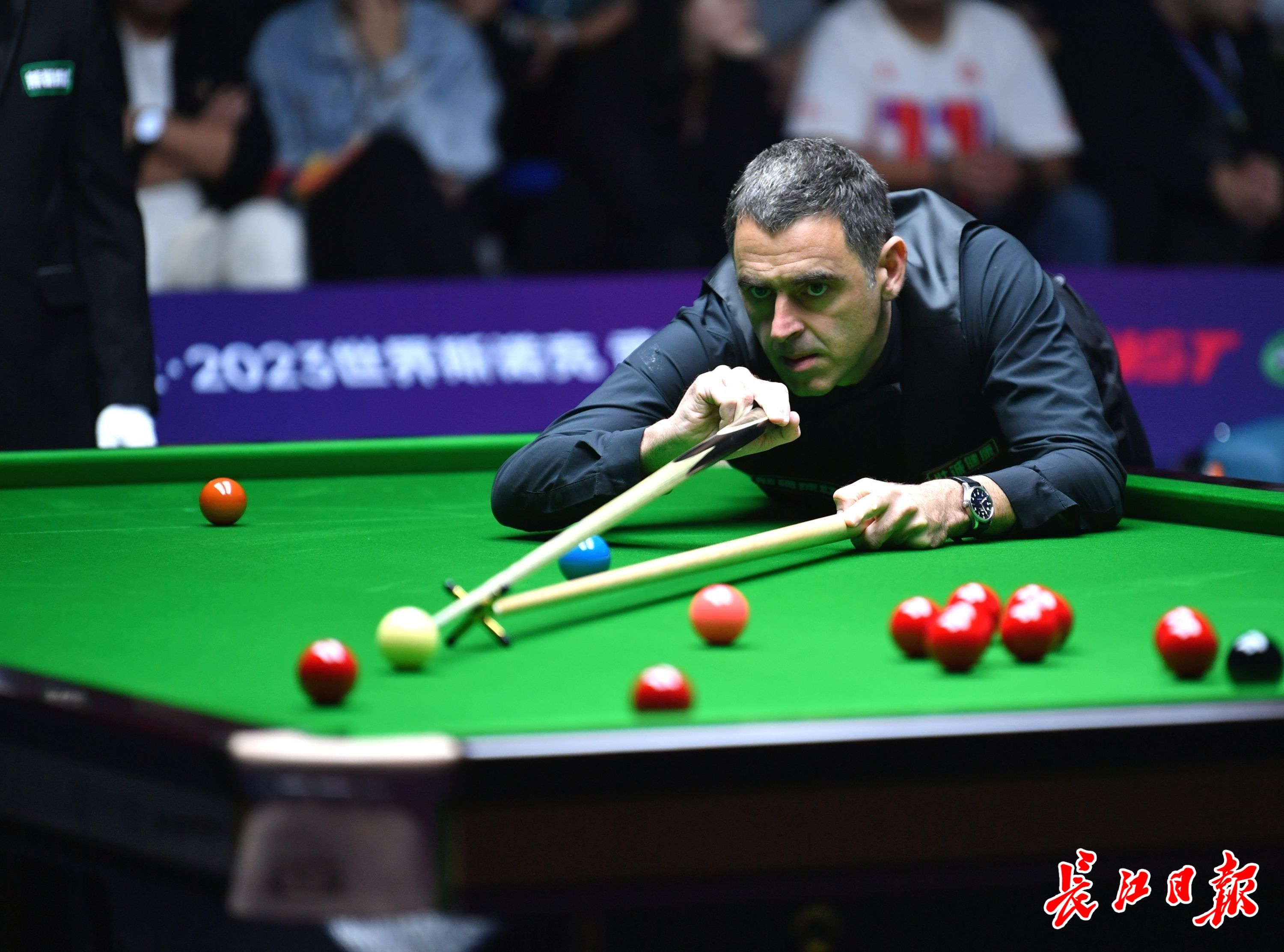 占比成为关 占比成为关